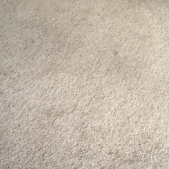 Meet your Posher, Carly - Picture 1 of 1